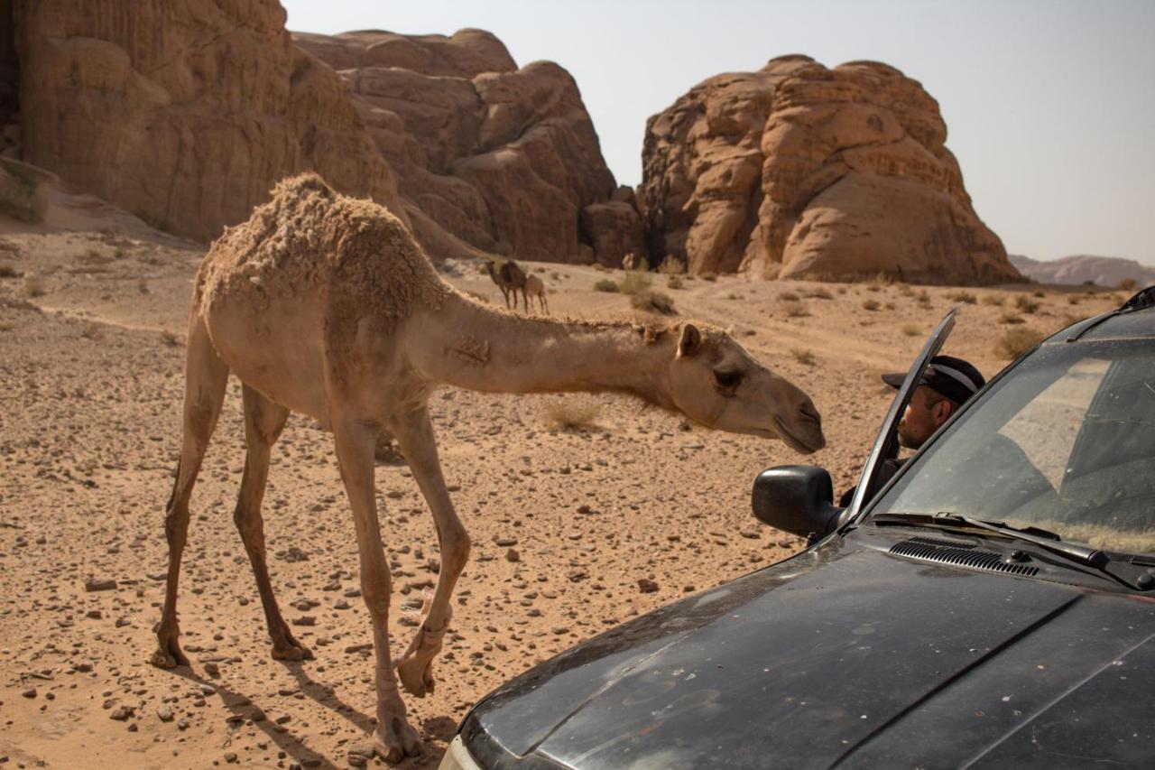 Wadi Rum Desert Home Exterior foto